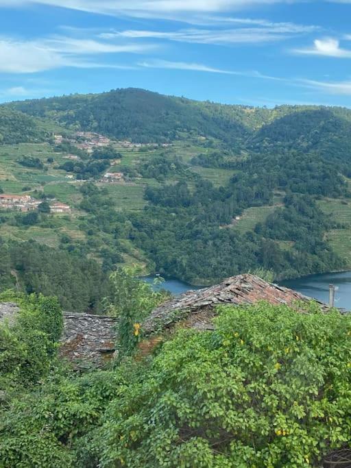 Willa Casa Do Feligres E Da Alsira Nogueira de Abaixo Zewnętrze zdjęcie
